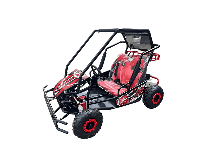 WUE-K2 500W Two-Seater Electric  Utility Vehicle