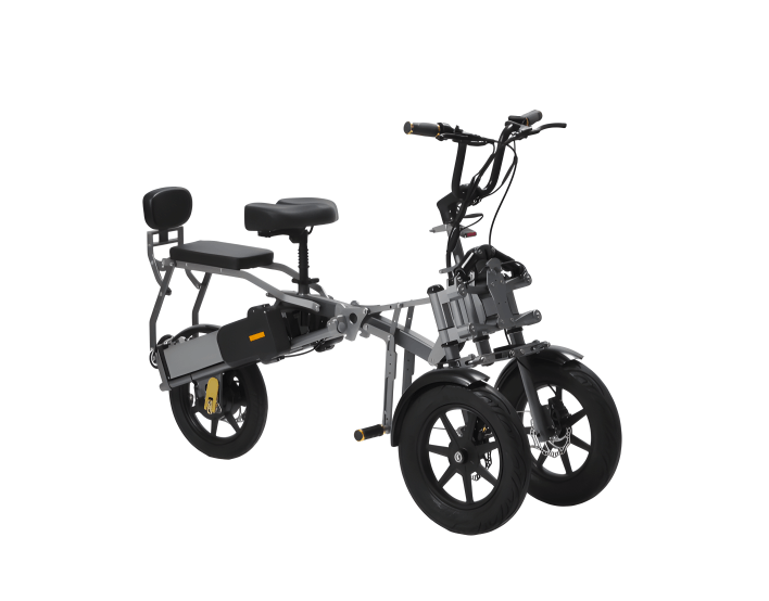 FER-1A High Performance Electric Trike | 500W Dual Battery 3 Whee