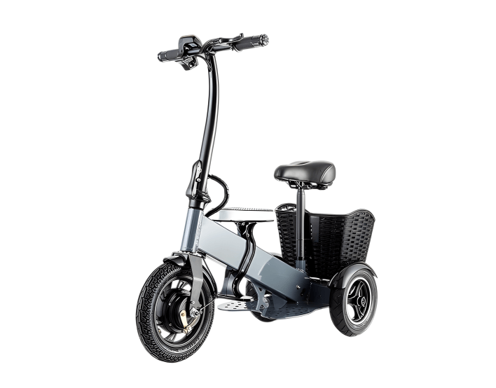 FER-4 Folding Electric Trike with Removable Lithium Battery